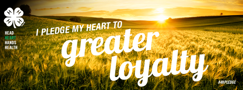 I pledge my heart to greater loyalty poster