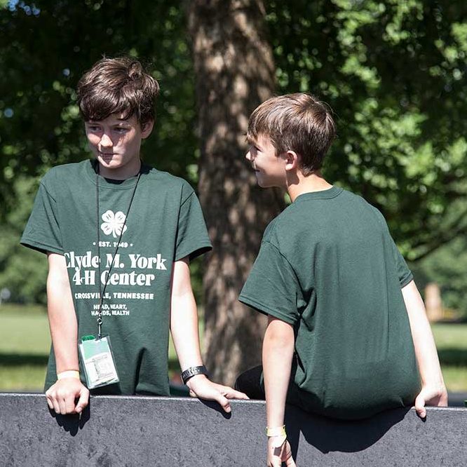 4-H Students standing in the sun