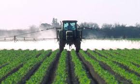 Spraying pesticide on crop