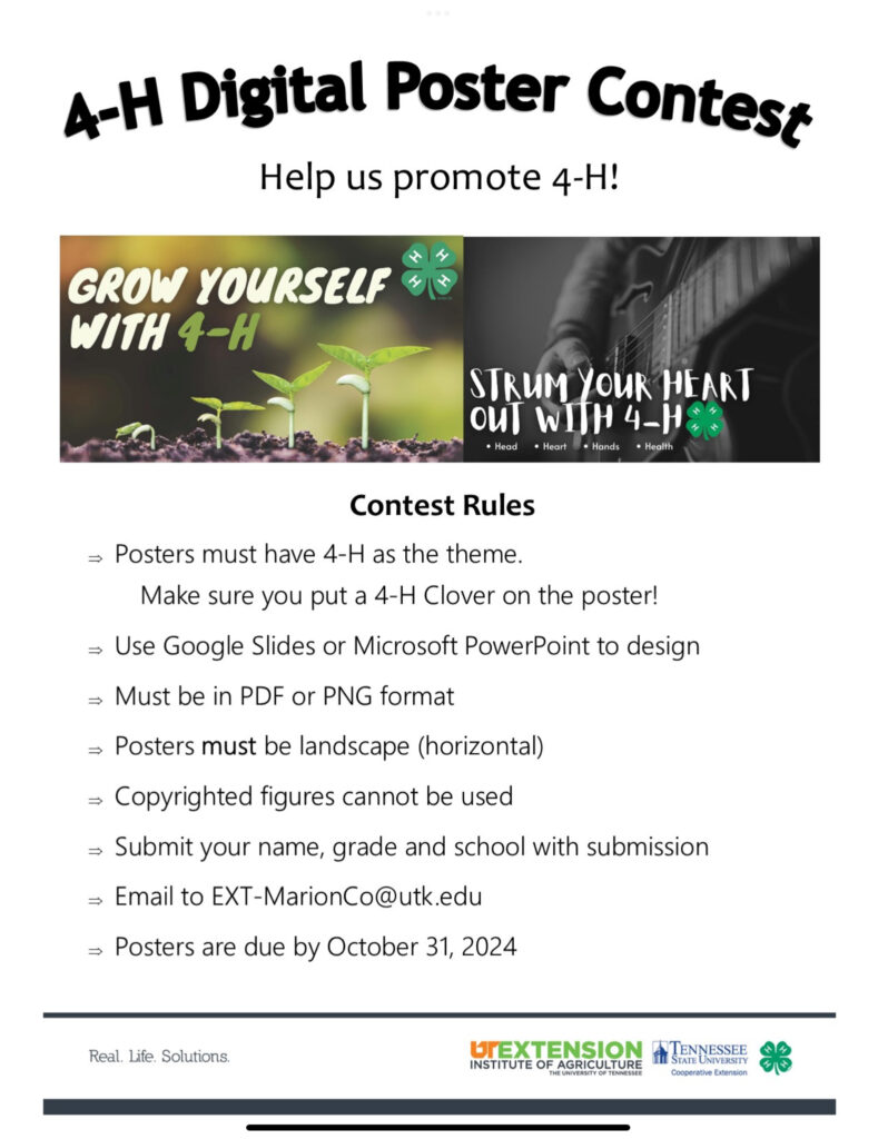 Example images of the digital poster and contest rules.