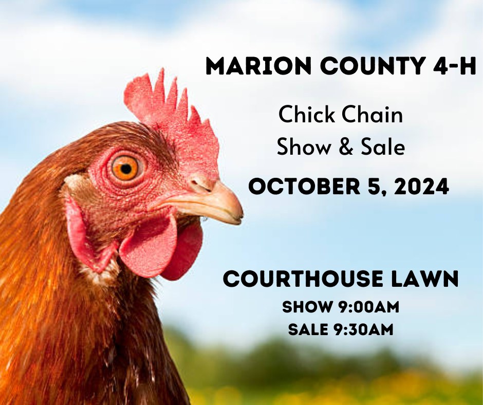 Image shows chick chain sale date and location.